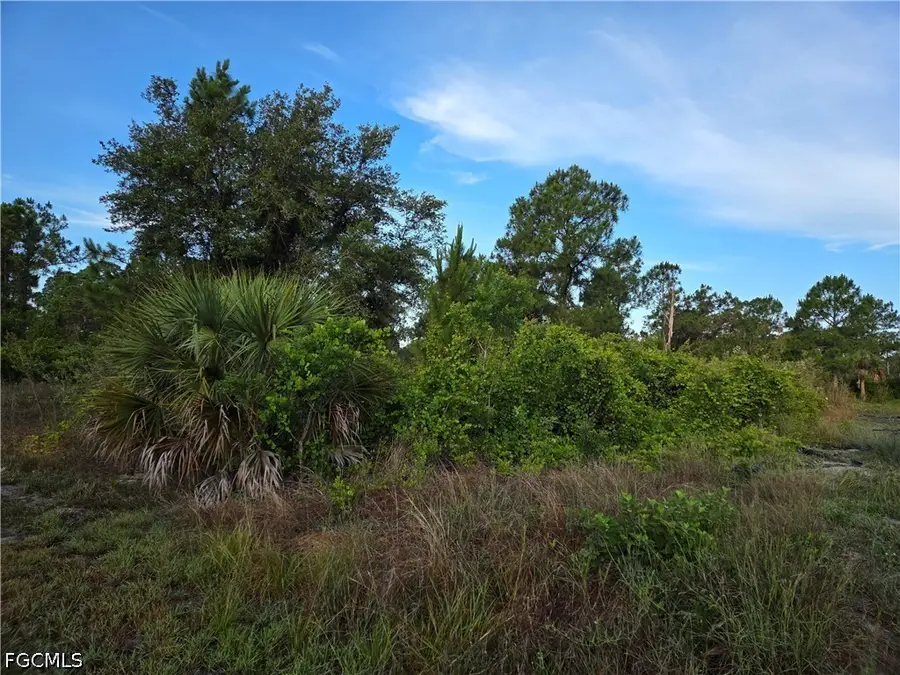 615 Johns Avenue, Lehigh Acres, FL 33972 - #3