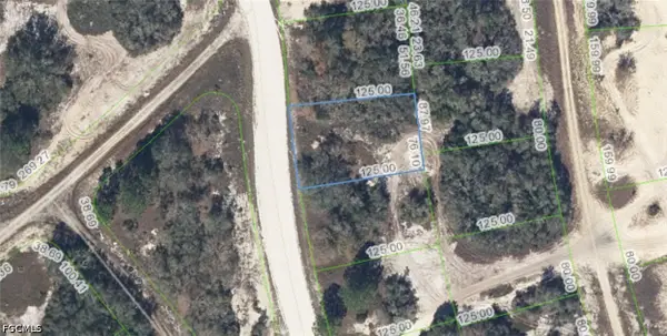 333 Wildwood Drive, Lake Placid, FL 33852