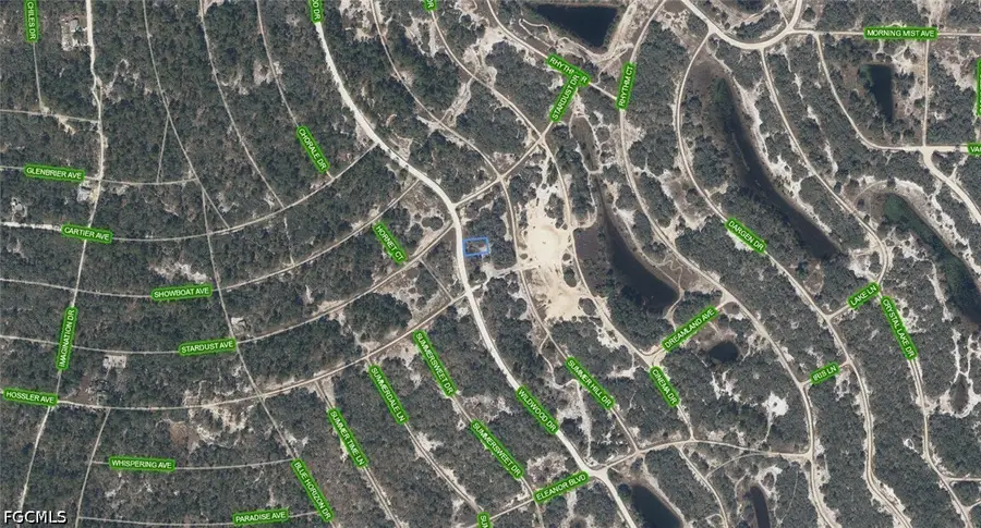 333 Wildwood Drive, Lake Placid, FL 33852 - #3