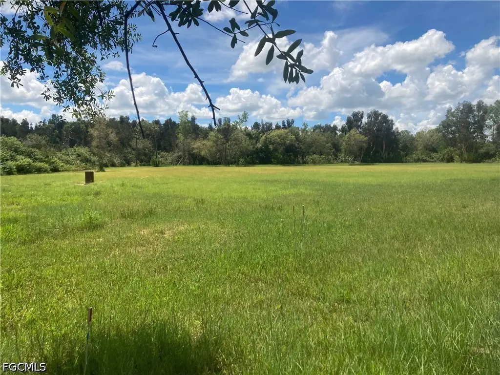 41601 Horseshoe Road, Punta Gorda, FL 33982 - #1