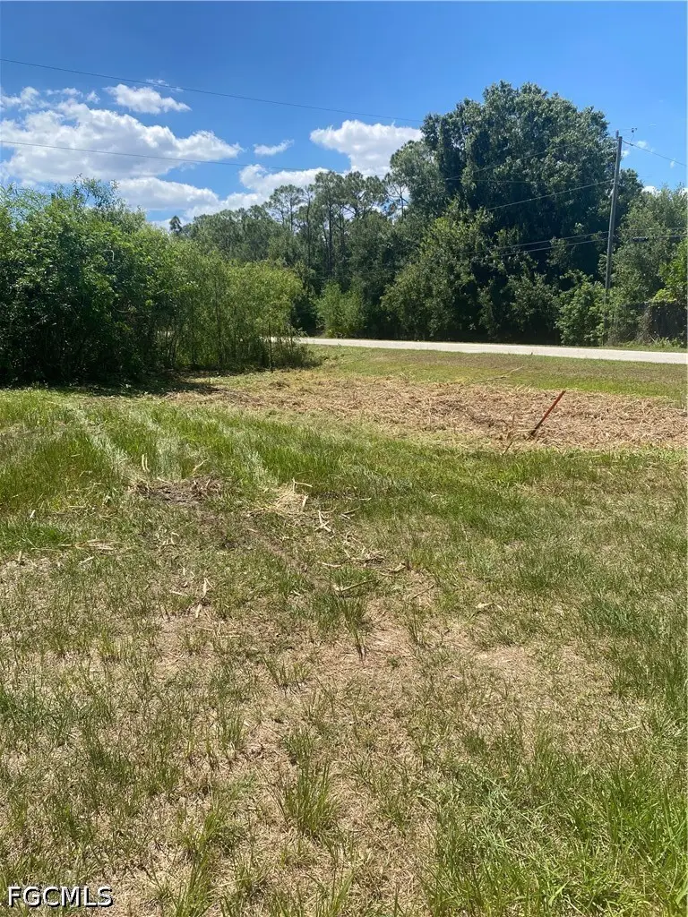 41601 Horseshoe Road, Punta Gorda, FL 33982 - #3