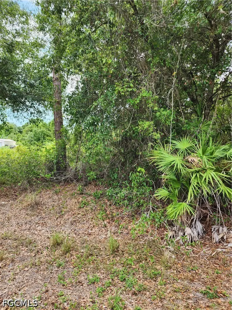 1114 Mckinley Avenue, Lehigh Acres, FL 33972 - #1