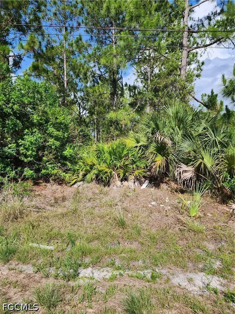 1016 Rush Avenue, Lehigh Acres, FL 33972 - #1