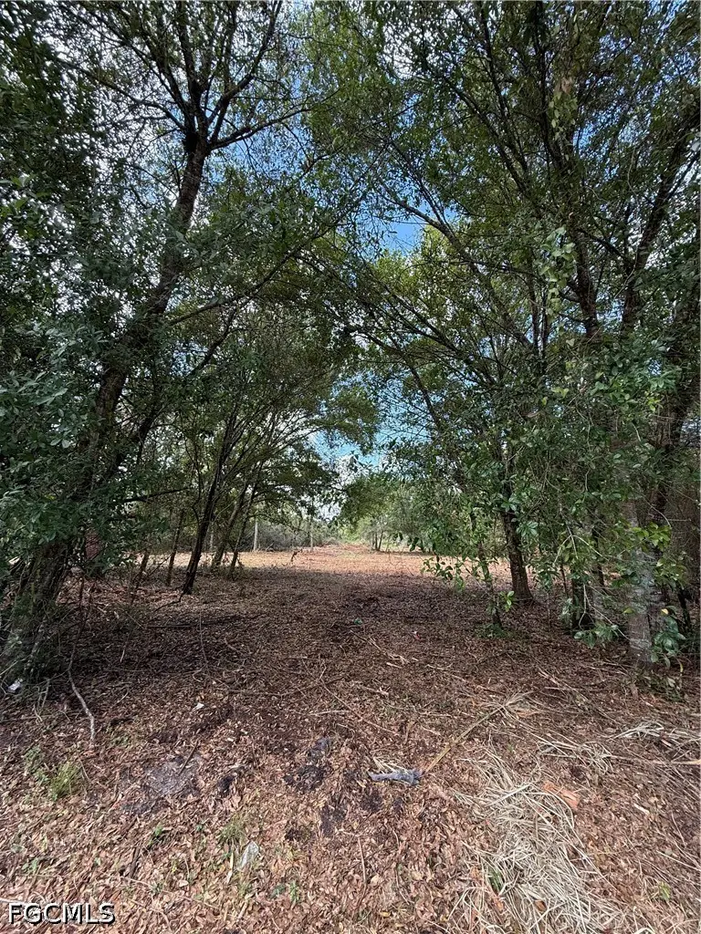 858 Woodland Boulevard, Clewiston, FL 33440 - #1