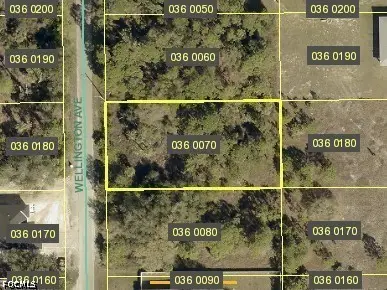 1410 Wellington Avenue, Lehigh Acres, FL 33972