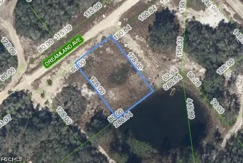 517 Dreamland Avenue, Lake Placid, FL 33852 - #2
