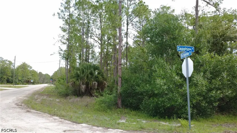 346 Sapphire Street, Lehigh Acres, FL 33972 - #3