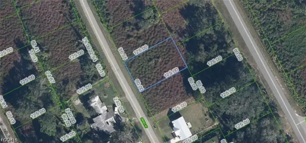 1025 Oriole Street, Lake Placid, FL 33852