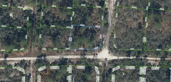 300 Rainbow Drive, Lake Placid, FL 33852
