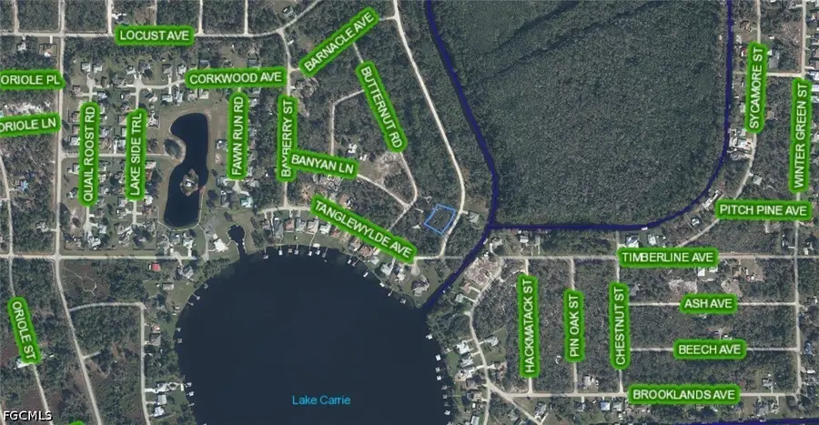 300 Rainbow Drive, Lake Placid, FL 33852 - #3
