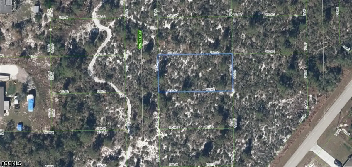 239 Sandpiper Street, Lake Placid, FL 33852 - #1