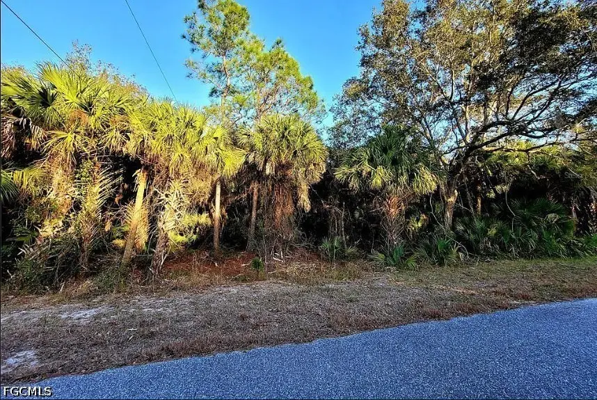 3120 Olney Street, Port Charlotte, FL 33948 - #1