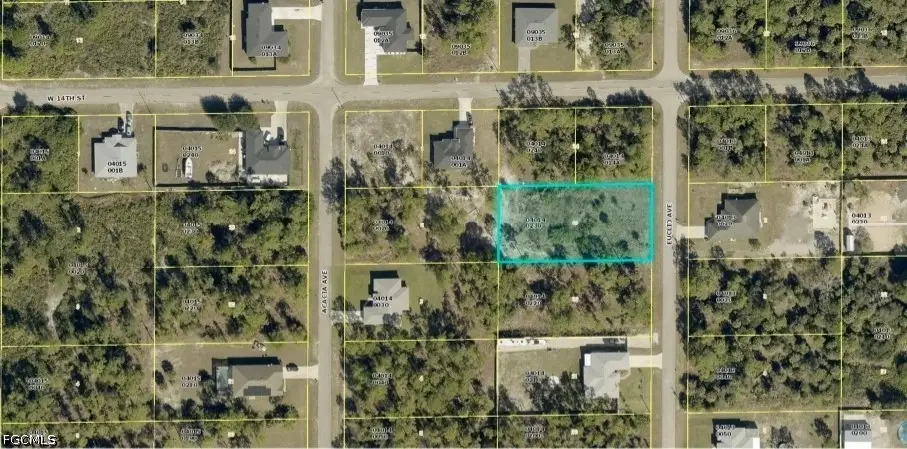 1321 Euclid Avenue, Lehigh Acres, FL 33972 - #1