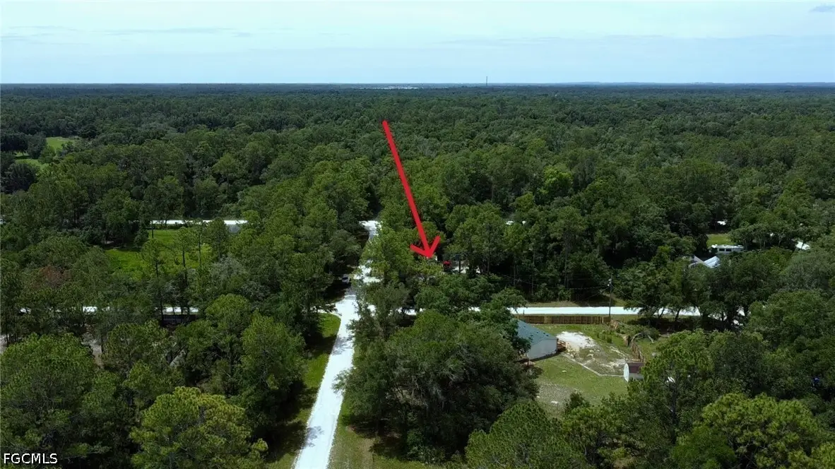 9113 Garetta Avenue, Webster, FL 33597 - #1