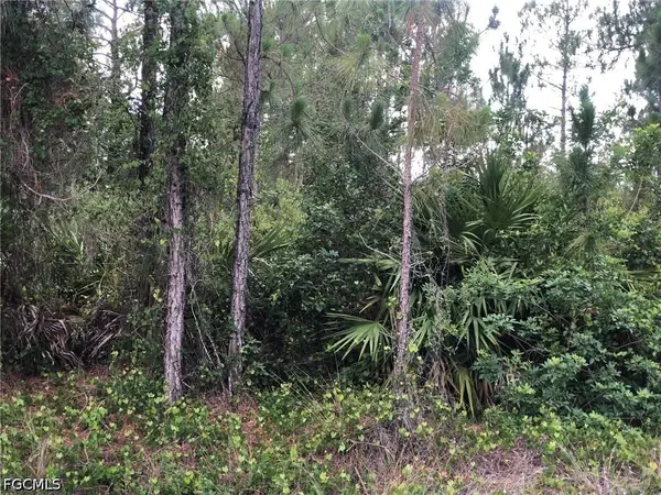 815 State Avenue, Lehigh Acres, FL 33972
