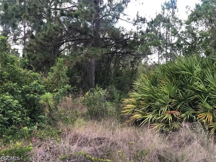 815 State Avenue, Lehigh Acres, FL 33972 - #2