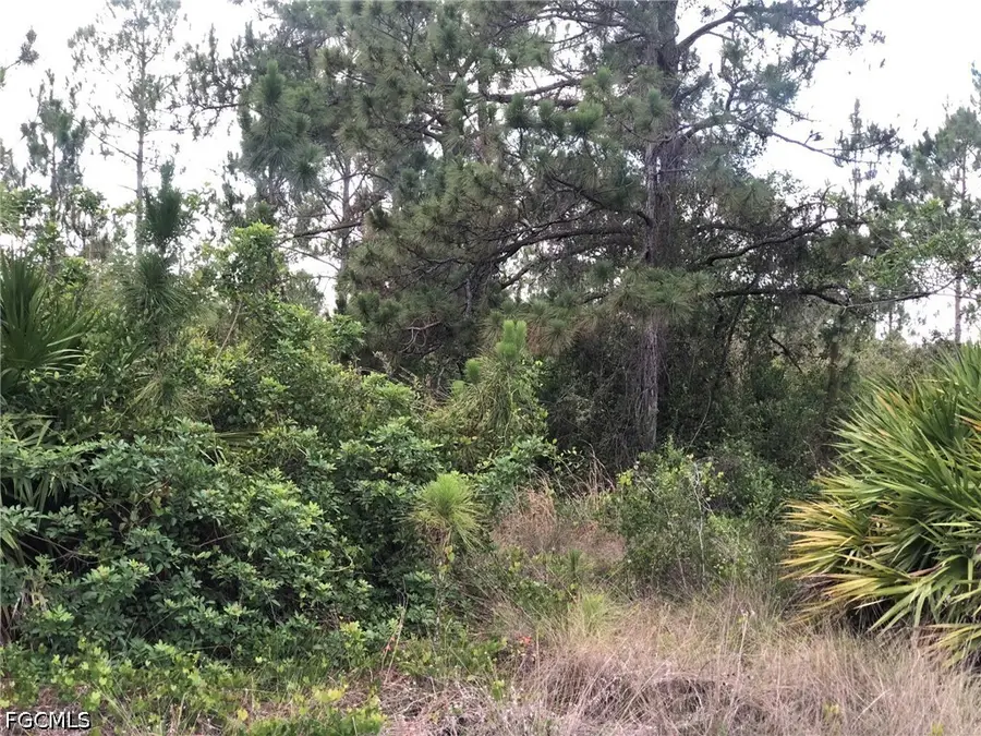 815 State Avenue, Lehigh Acres, FL 33972 - #3