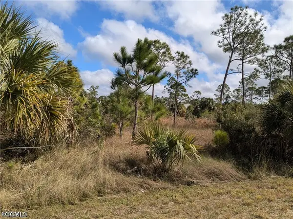 3107 39th Street W, Lehigh Acres, FL 33971