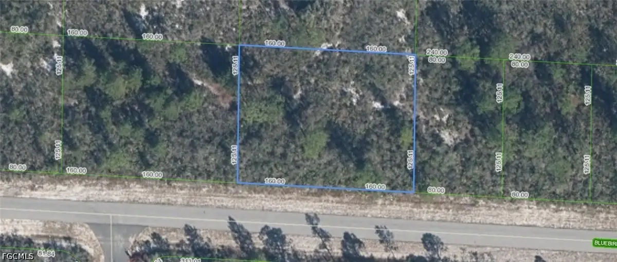 3427 Bluebird Avenue, Lake Placid, FL 33852 - #1