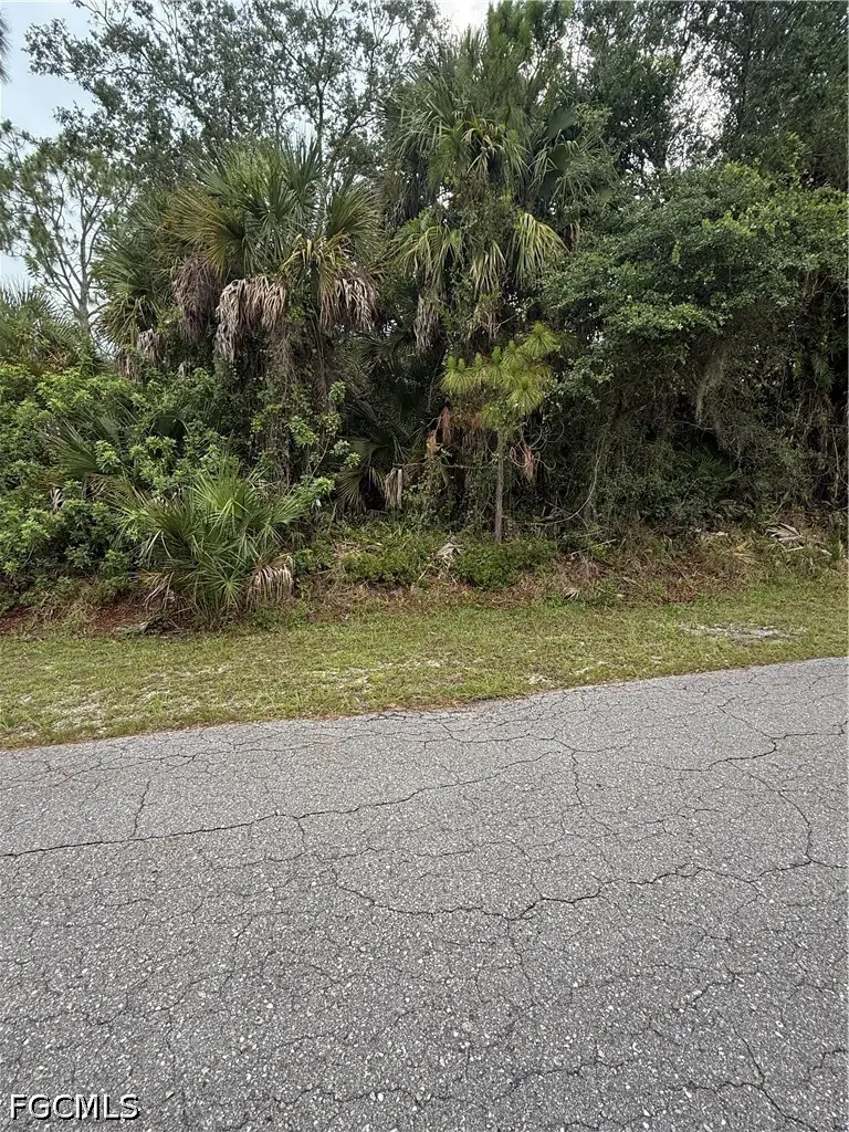 703 Cleveland Avenue, Lehigh Acres, FL 33972 - #2