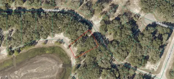 9031-0946-38 Malauka Radial, Ocklawaha, FL 32179