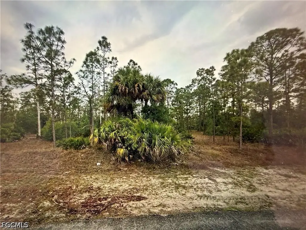 1415 Sheldon Avenue, Lehigh Acres, FL 33972 - #1