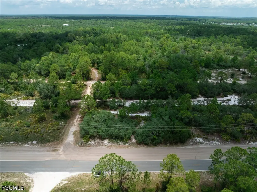 3238 Gossamer Avenue, Lake Placid, FL 33852 - #1