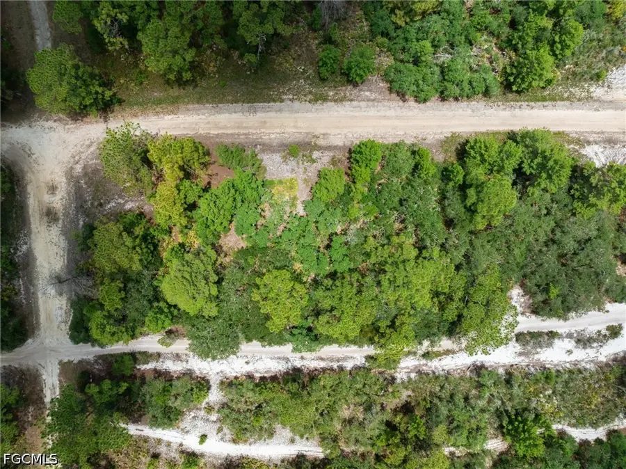 3238 Gossamer Avenue, Lake Placid, FL 33852 - #2