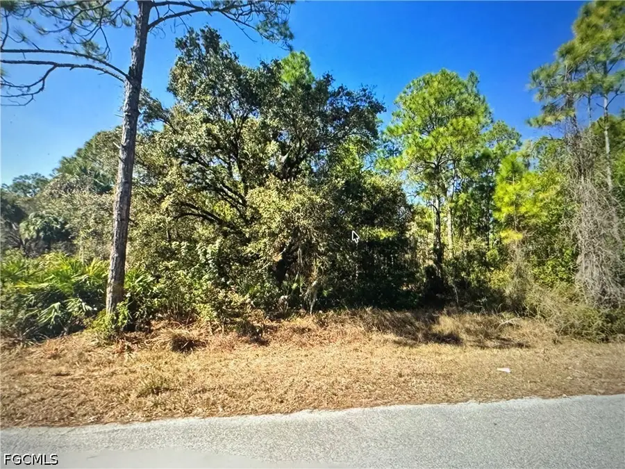 1313 Euclid Avenue, Lehigh Acres, FL 33972 - #3