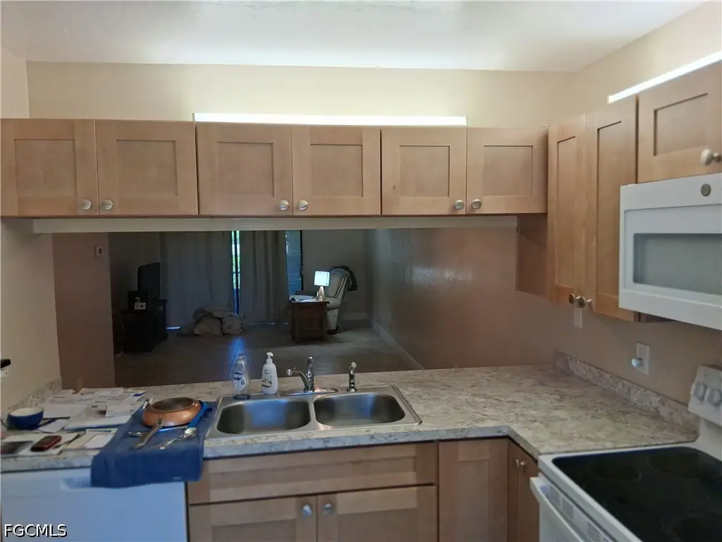 15000 Arbor Lakes Drive E #3, North Fort Myers, FL 33917 - #1