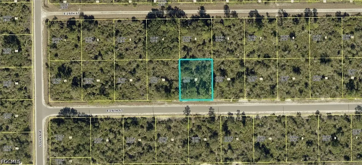 4199 E 28th Street, Alva, FL 33920 - #1