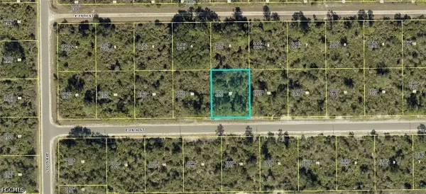 4199 E 28th Street, Alva, FL 33920