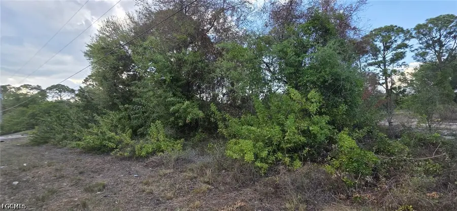 4640 15th Street Sw, Lehigh Acres, FL 33973 - #3