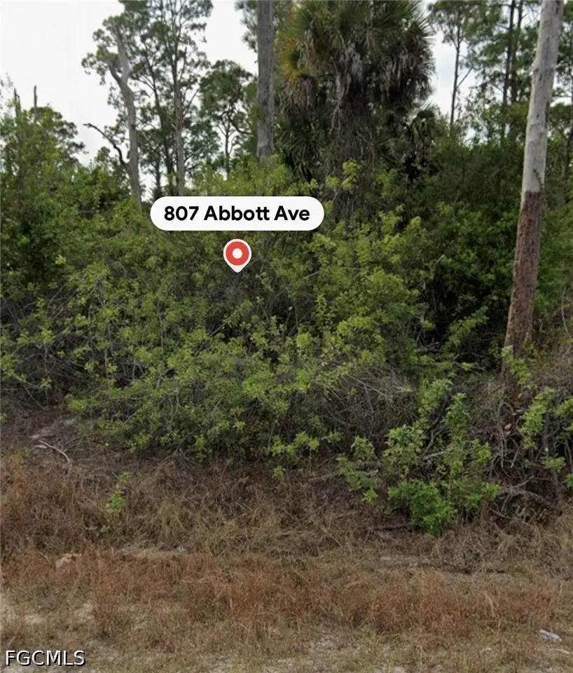 807 Abbott Avenue, Lehigh Acres, FL 33972 - #3