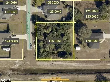 4609 Connie Avenue S, Lehigh Acres, FL 33976 - #3