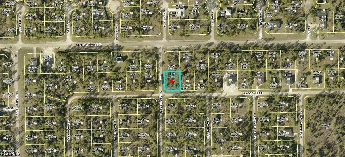1223 Racoon Street E, Lehigh Acres, FL 33974 - #1