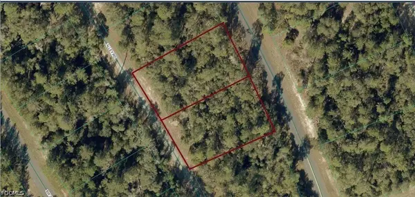 8002-0009-06 & 8002-0009- Alley Road, Ocala, FL 34473