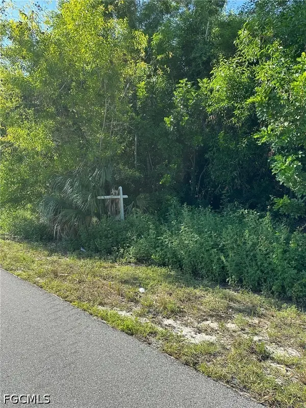 314 NW 5th Terrace, Cape Coral, FL 33993