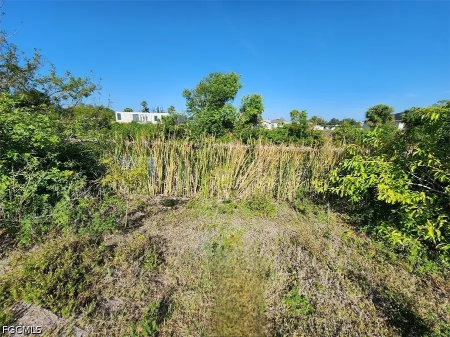 2210 NE 22nd Avenue, Cape Coral, FL 33909 - #3