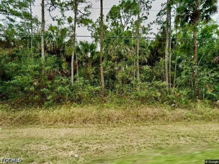 3170 24th Avenue Se, Naples, FL 34117 - #1