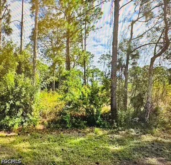 761 Burns Avenue S, Lehigh Acres, FL 33974