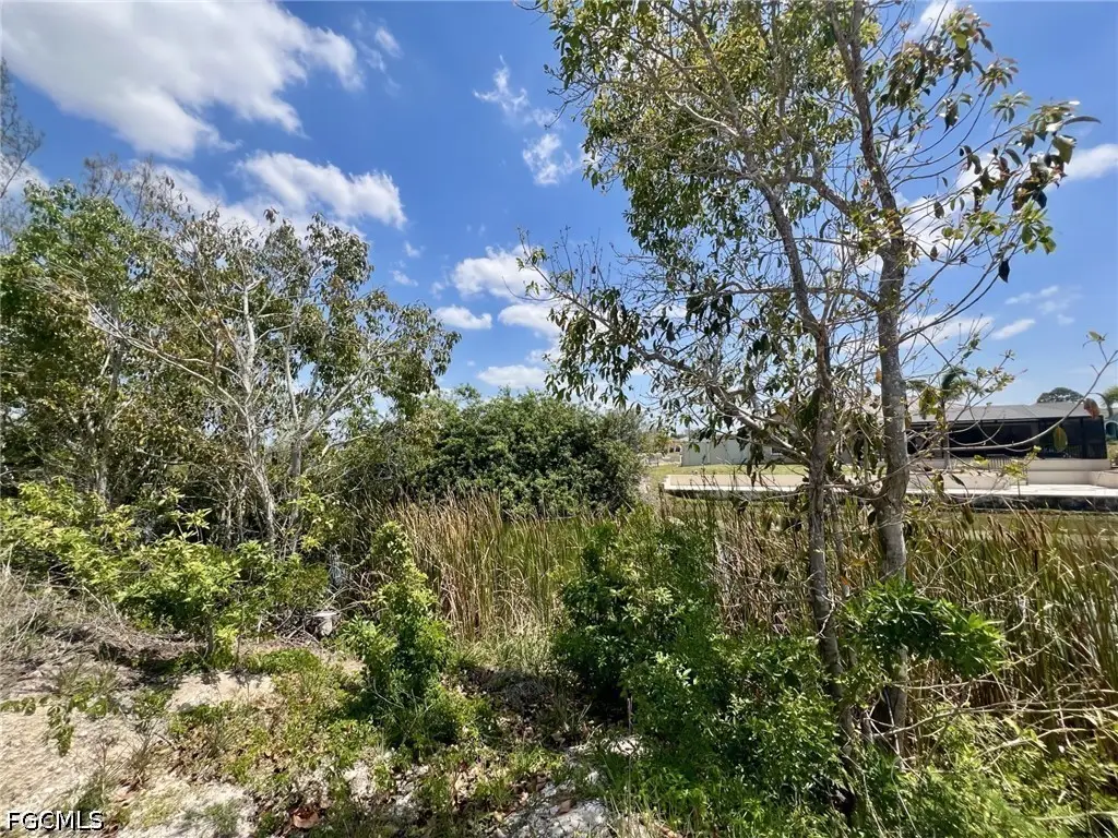 1031 NW 20th Place, Cape Coral, FL 33993 - #1