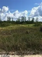5390 Game Bird Lane, Bokeelia, FL 33922 - #2