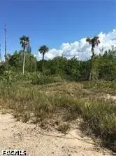 5390 Game Bird Lane, Bokeelia, FL 33922 - #3