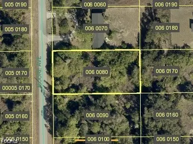 1608 Moore Avenue, Lehigh Acres, FL 33972 - #1