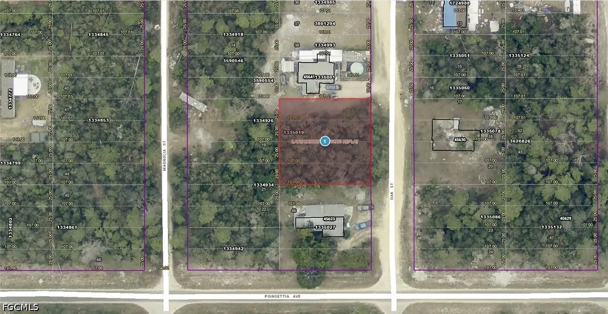 14-17-28-0200-004-04100 Oak Street, Paisley, FL 32767 - #1