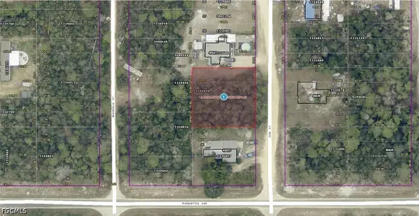 14-17-28-0200-004-04100 Oak Street, Paisley, FL 32767