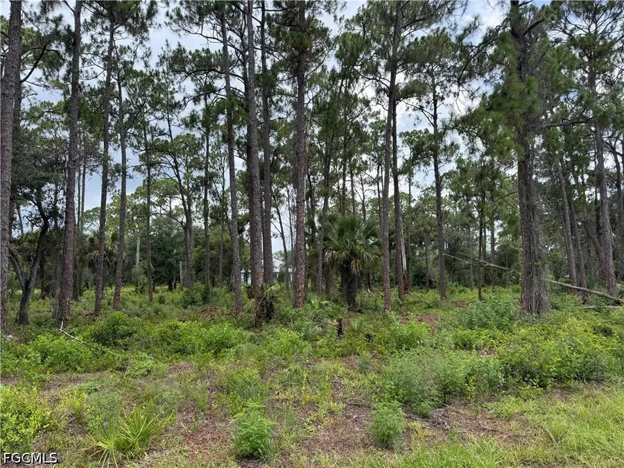 1911 Mcarthur Avenue, Lehigh Acres, FL 33972 - #2