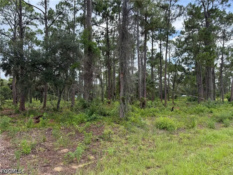 1911 Mcarthur Avenue, Lehigh Acres, FL 33972 - #3