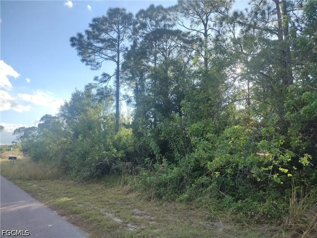 462 Loretta Avenue S, Lehigh Acres, FL 33974 - #1
